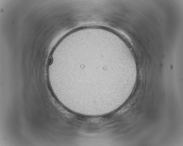 X0000077281279200611171553