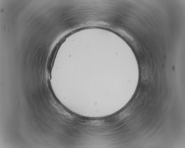 X0000077281280200611171553