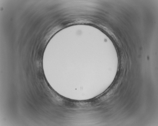 X0000077281281200611171553