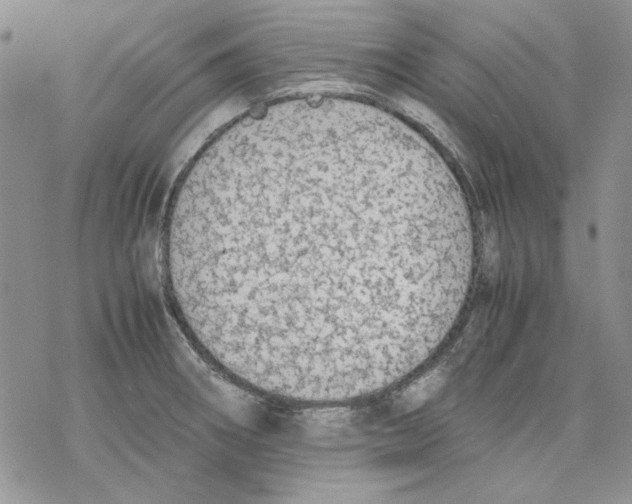 X0000077281282200611171553