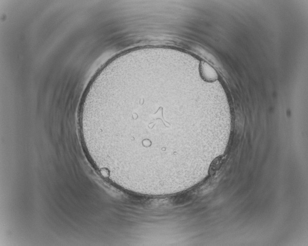 X0000077281283200611171553