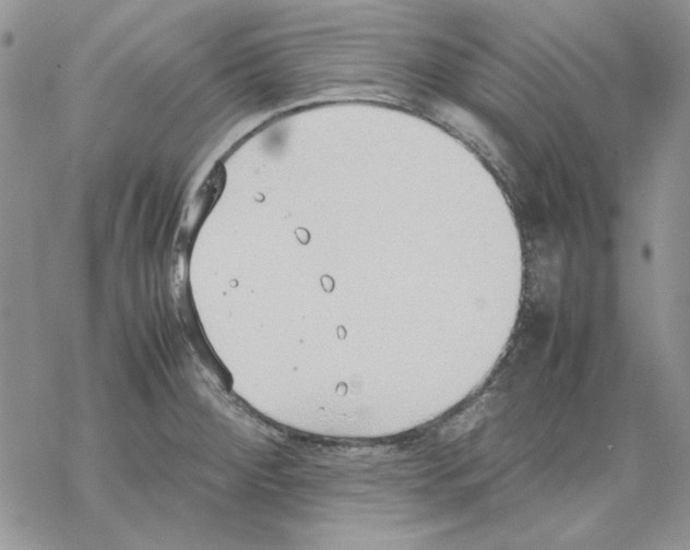 X0000077281284200611171553