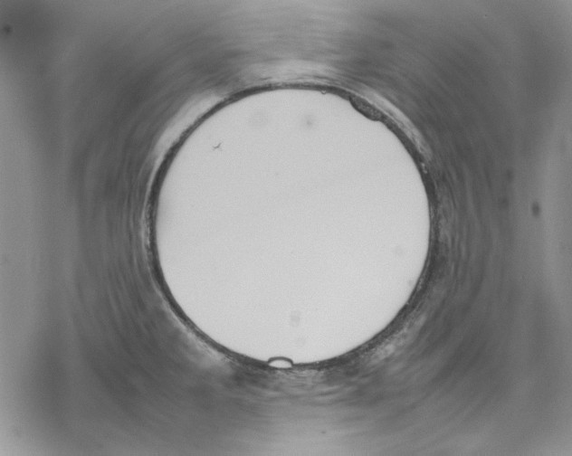 X0000077281285200611171553