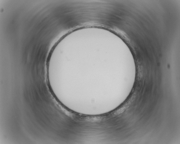 X0000077281286200611171553