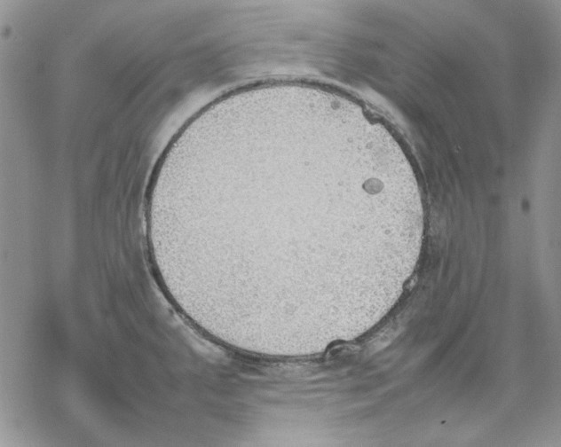 X0000077281287200611171553