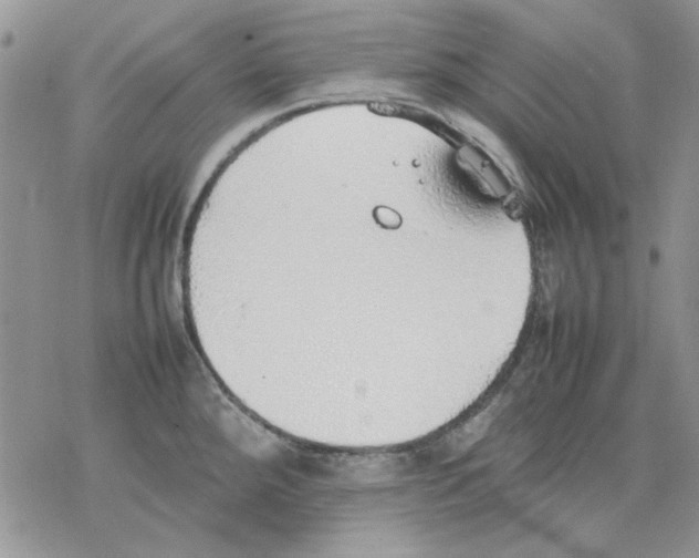 X0000077281288200611171553