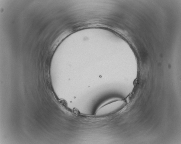 X0000077281289200611171553