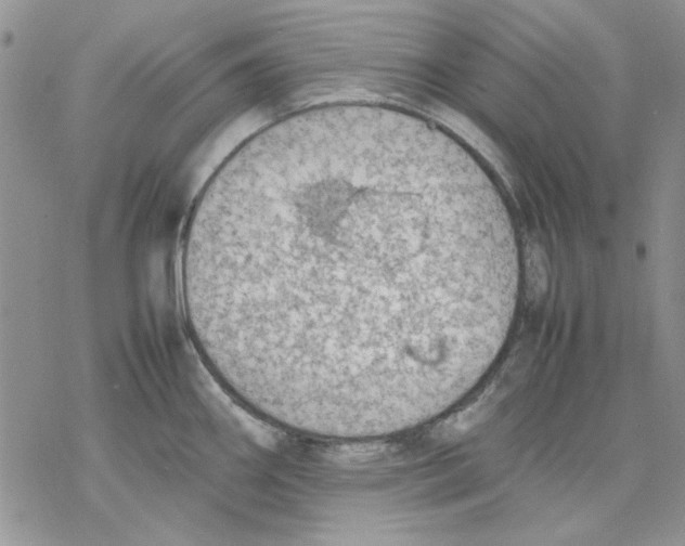 X0000077281290200611171553