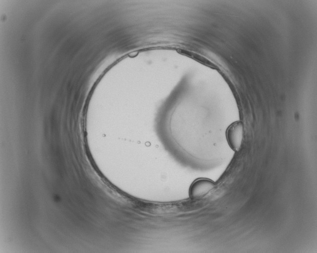 X0000077281291200611171553