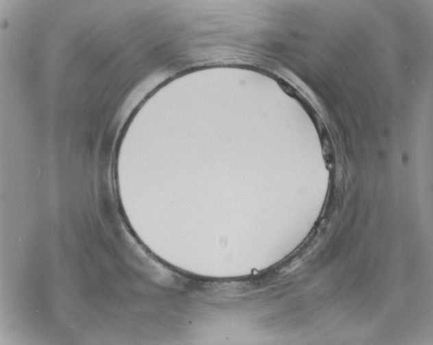 X0000077281293200611171553