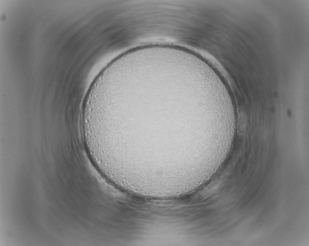 X0000077281295200611171553