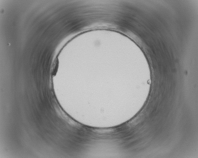 X0000077281296200611171553