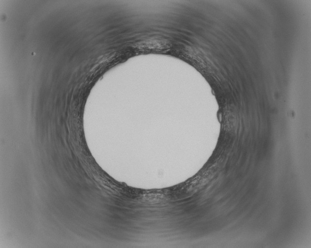 X0000077281297200611171552