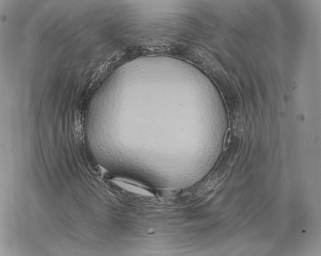 X0000077281298200611171552