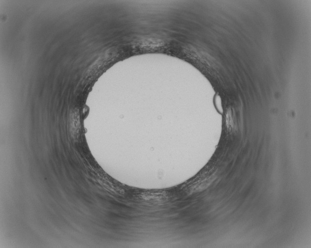 X0000077281299200611171552