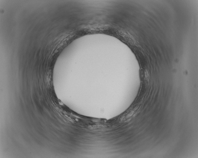 X0000077281300200611171552