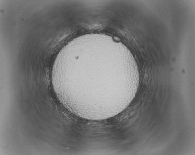 X0000077281301200611171552