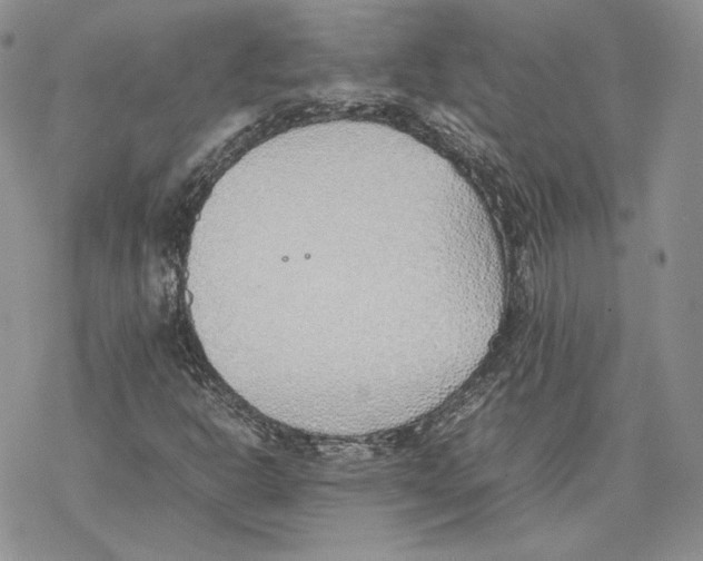 X0000077281302200611171552