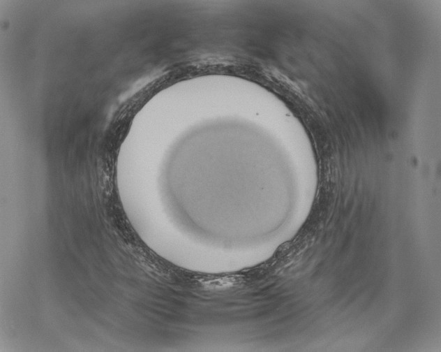 X0000077281303200611171552