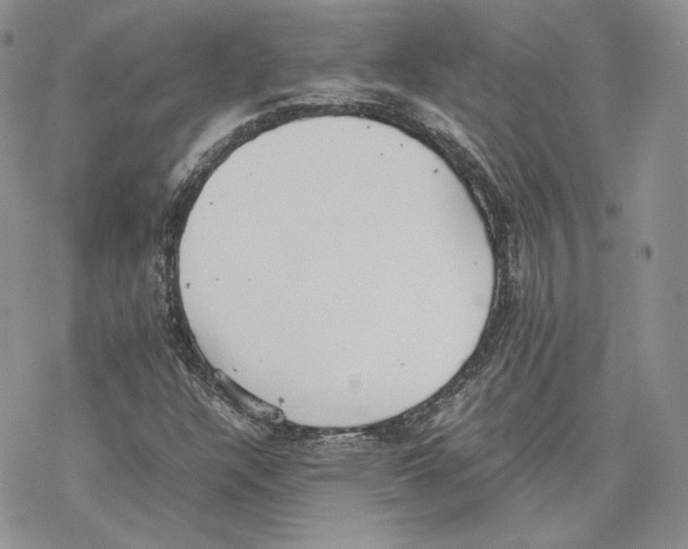 X0000077281304200611171552