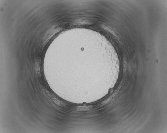 X0000077281305200611171552