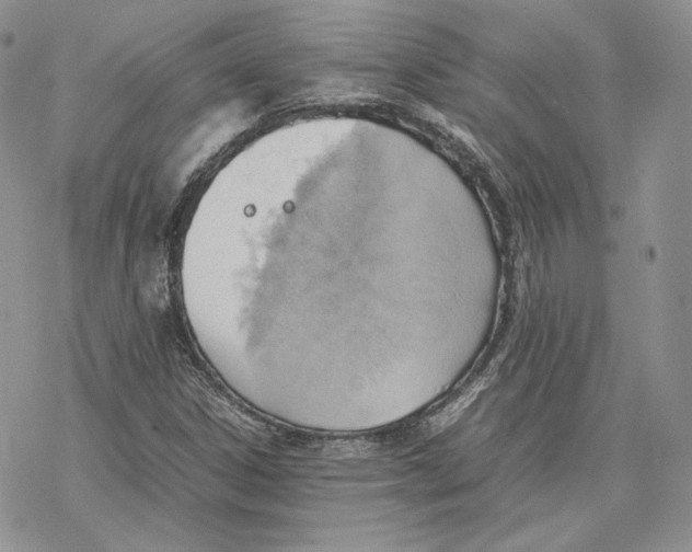 X0000077281306200611171552