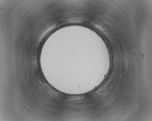 X0000077281307200611171552