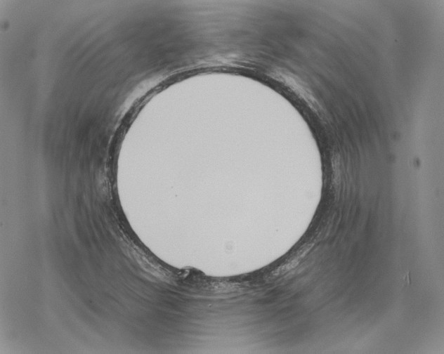 X0000077281308200611171552