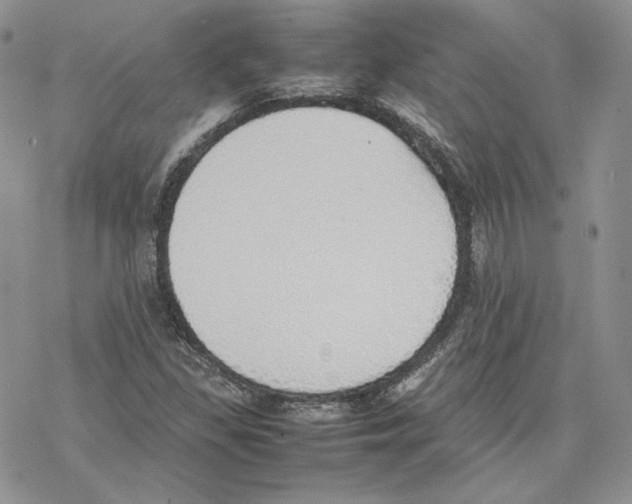 X0000077281309200611171552