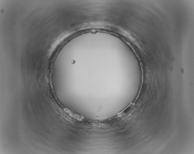 X0000077281312200611171552