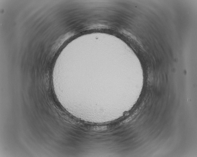 X0000077281313200611171552