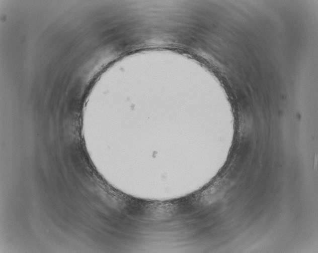 X0000077281314200611171552