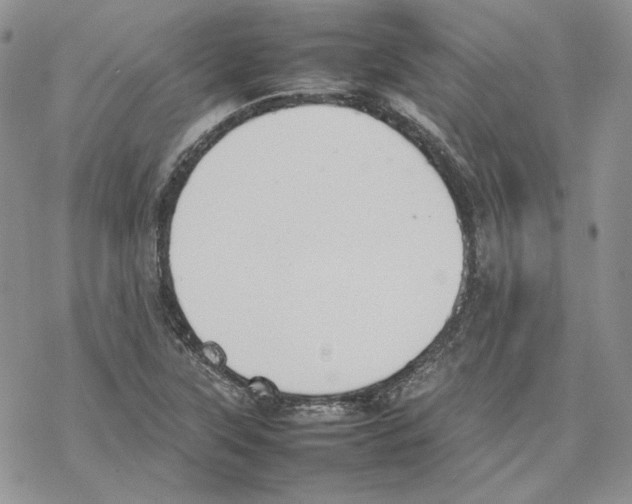 X0000077281315200611171552