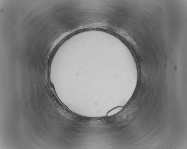 X0000077281316200611171552