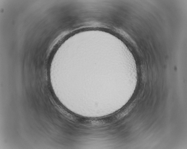 X0000077281318200611171552