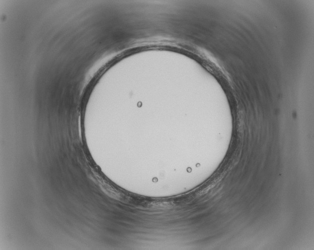 X0000077281320200611171552