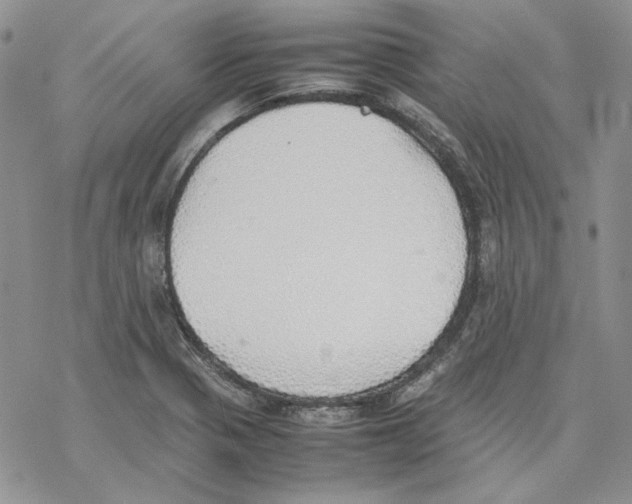 X0000077281321200611171552