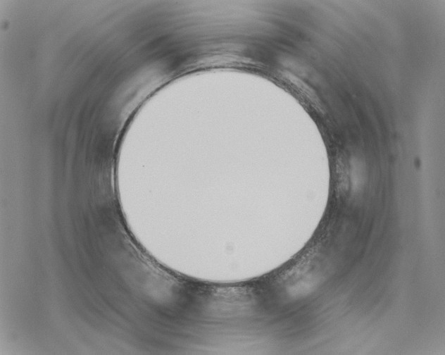 X0000077281322200611171552