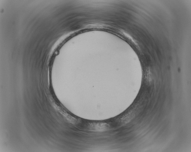 X0000077281323200611171552