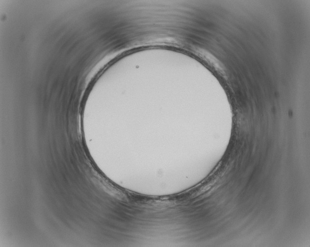 X0000077281324200611171552