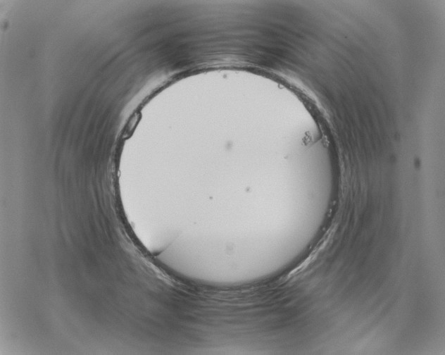 X0000077281325200611171552