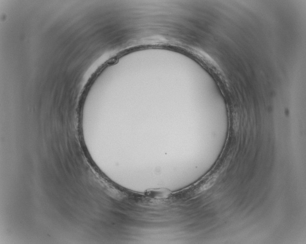 X0000077281326200611171552