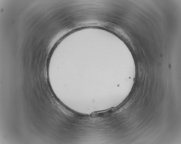 X0000077281328200611171552