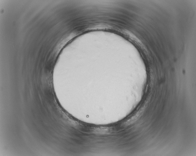 X0000077281329200611171552