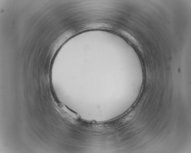 X0000077281330200611171552