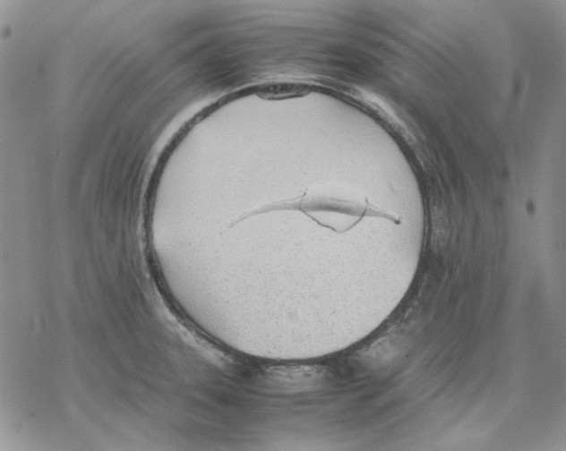 X0000077281331200611171552