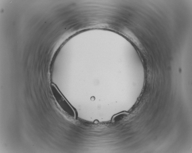 X0000077281332200611171552