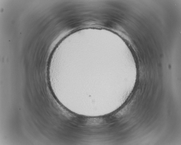 X0000077281333200611171552