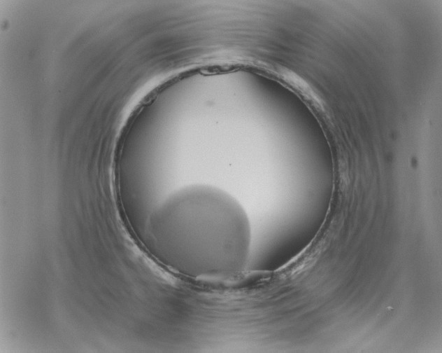 X0000077281334200611171552