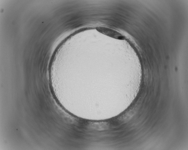 X0000077281335200611171552